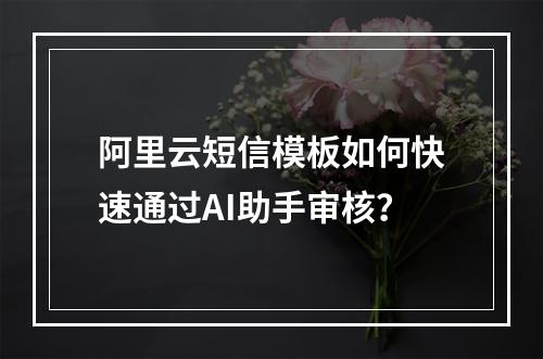 阿里云短信模板如何快速通过AI助手审核？