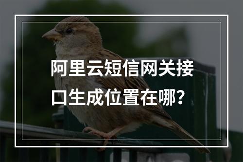阿里云短信网关接口生成位置在哪？
