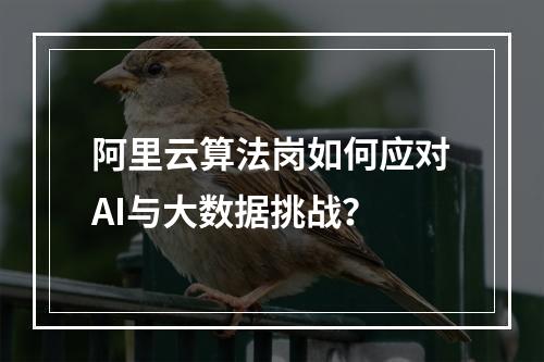 阿里云算法岗如何应对AI与大数据挑战？