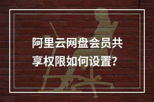 阿里云网盘会员共享权限如何设置？