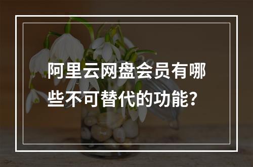 阿里云网盘会员有哪些不可替代的功能？