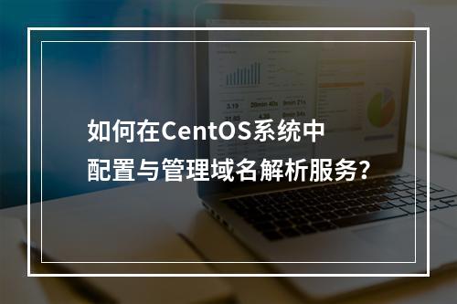 如何在CentOS系统中配置与管理域名解析服务?