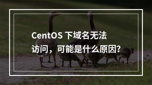 CentOS 下域名无法访问,可能是什么原因?