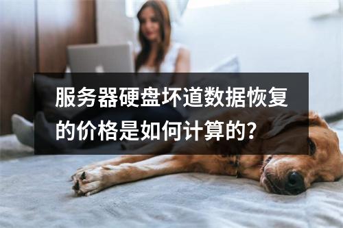 服务器硬盘坏道数据恢复的价格是如何计算的?