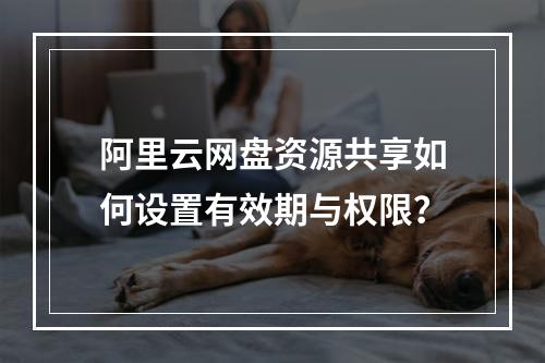阿里云网盘资源共享如何设置有效期与权限？