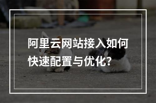 阿里云网站接入如何快速配置与优化？