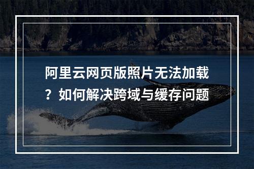 阿里云网页版照片无法加载？如何解决跨域与缓存问题