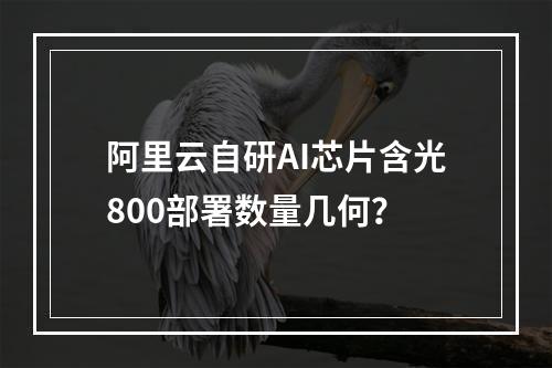 阿里云自研AI芯片含光800部署数量几何？