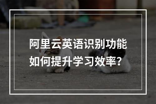 阿里云英语识别功能如何提升学习效率？