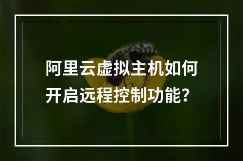 阿里云虚拟主机如何开启远程控制功能？