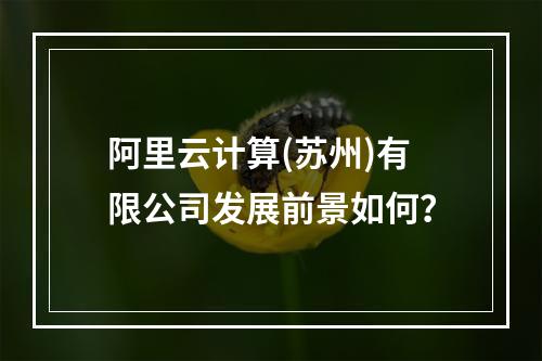 阿里云计算(苏州)有限公司发展前景如何？