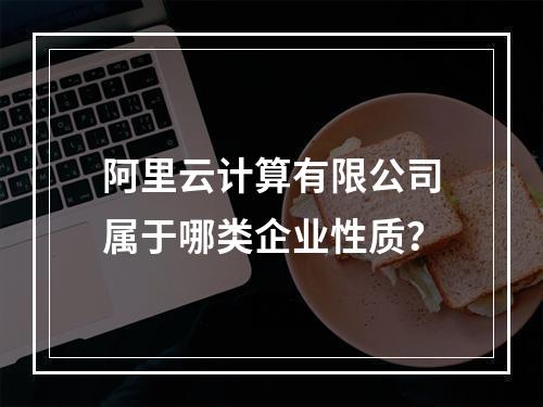 阿里云计算有限公司属于哪类企业性质？