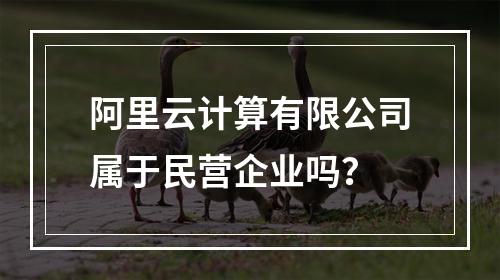 阿里云计算有限公司属于民营企业吗？