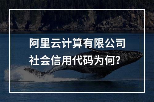 阿里云计算有限公司社会信用代码为何？