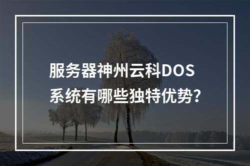 服务器神州云科DOS系统有哪些独特优势?