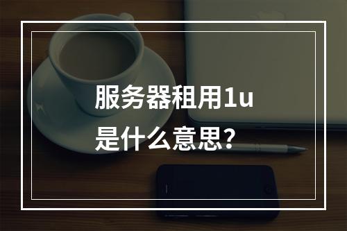 服务器租用1u是什么意思?