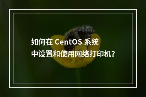 如何在 CentOS 系统中设置和使用网络打印机?