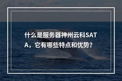 什么是服务器神州云科SATA,它有哪些特点和优势?