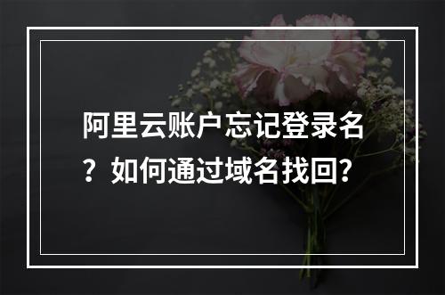 阿里云账户忘记登录名？如何通过域名找回？