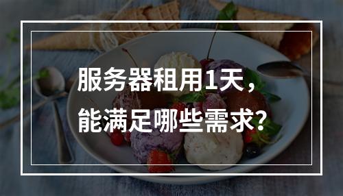服务器租用1天,能满足哪些需求?
