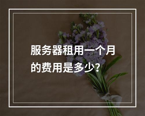 服务器租用一个月的费用是多少?