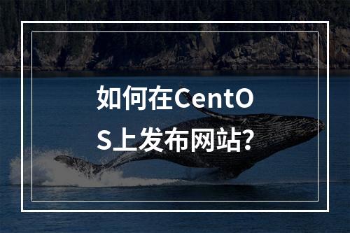 如何在CentOS上发布网站?