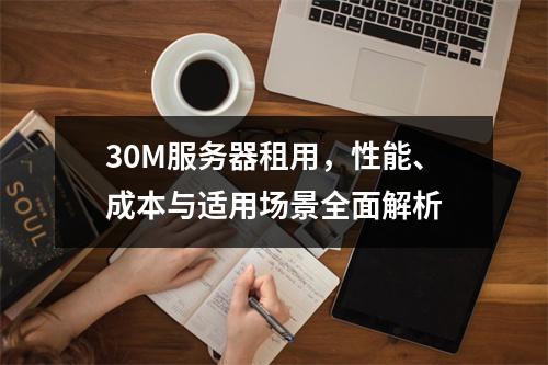 30M服务器租用,性能、成本与适用场景全面解析