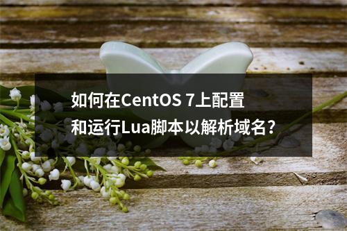 如何在CentOS 7上配置和运行Lua脚本以解析域名?