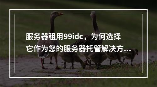 服务器租用99idc,为何选择它作为您的服务器托管解决方案?