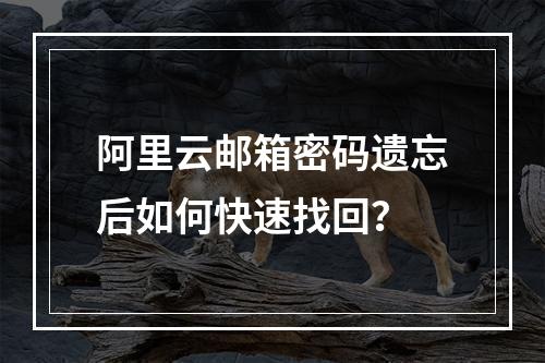 阿里云邮箱密码遗忘后如何快速找回？
