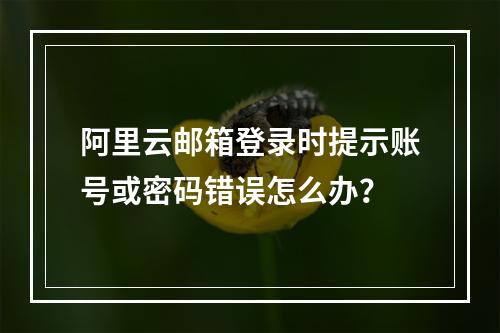 阿里云邮箱登录时提示账号或密码错误怎么办？