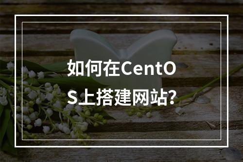 如何在CentOS上搭建网站?