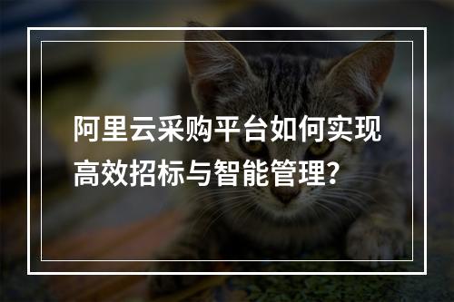 阿里云采购平台如何实现高效招标与智能管理？