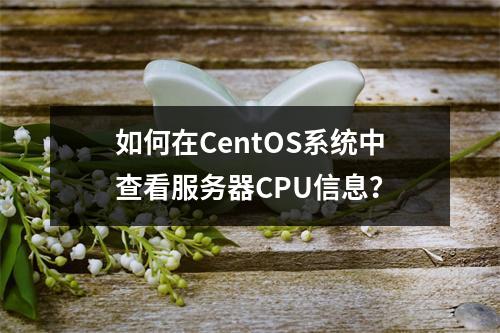 如何在CentOS系统中查看服务器CPU信息?