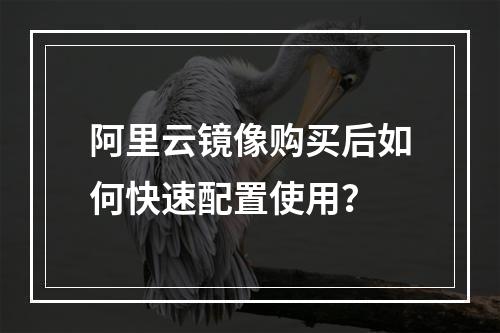 阿里云镜像购买后如何快速配置使用？