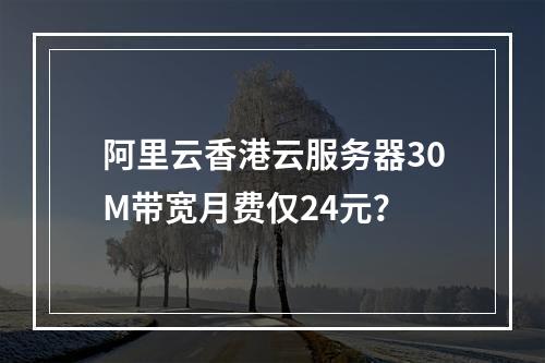 阿里云香港云服务器30M带宽月费仅24元？