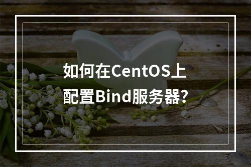如何在CentOS上配置Bind服务器?