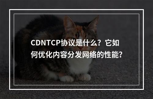 CDNTCP协议是什么?它如何优化内容分发网络的性能?