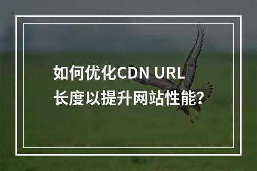 如何优化CDN URL长度以提升网站性能?