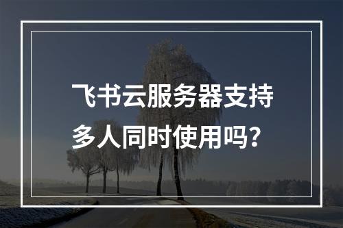 飞书云服务器支持多人同时使用吗？