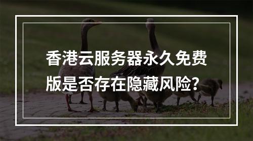 香港云服务器永久免费版是否存在隐藏风险？