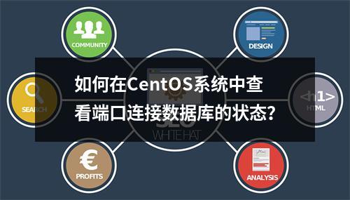 如何在CentOS系统中查看端口连接数据库的状态?