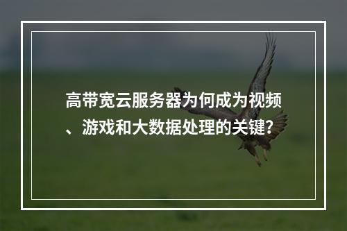 高带宽云服务器为何成为视频、游戏和大数据处理的关键？