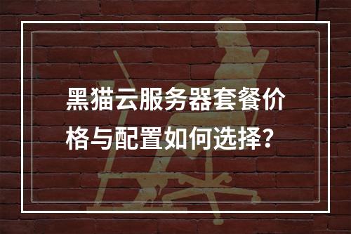 黑猫云服务器套餐价格与配置如何选择？