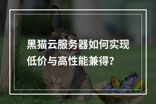 黑猫云服务器如何实现低价与高性能兼得？