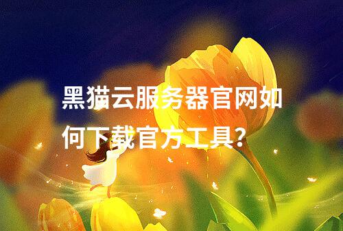 黑猫云服务器官网如何下载官方工具？
