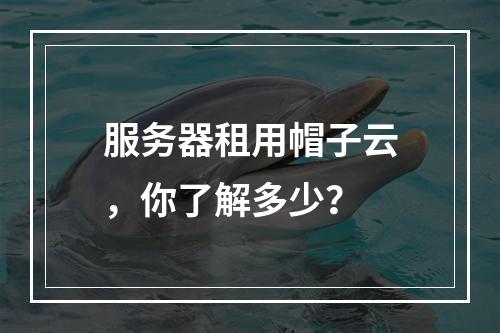 服务器租用帽子云,你了解多少?