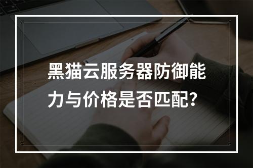 黑猫云服务器防御能力与价格是否匹配？