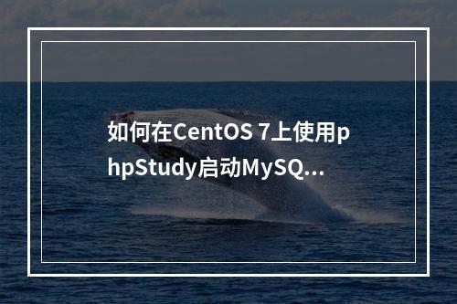 如何在CentOS 7上使用phpStudy启动MySQL数据库?