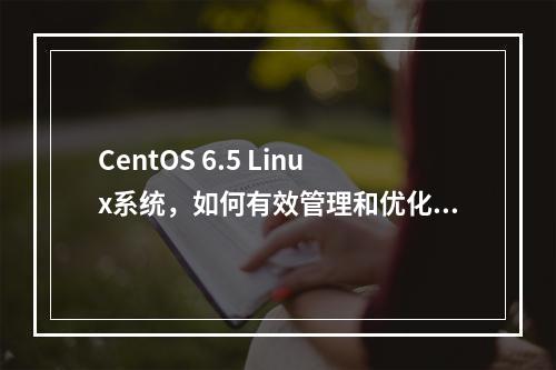 CentOS 6.5 Linux系统,如何有效管理和优化性能?